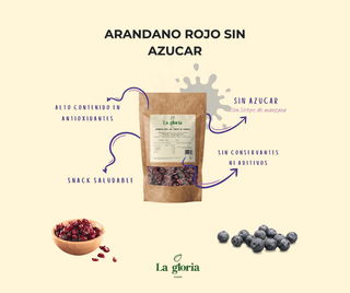 Arándanos rojos BIO con sirope de manzana 125gr