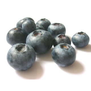 ARÁNDANOS ECO 125g