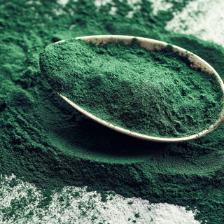 Espirulina Premium Bio en polvo 200g
