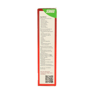 Floradix Hierro (250ml)