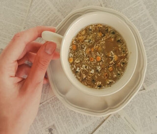 Infusiones digestivas