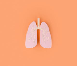 Aparato respiratorio