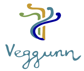 Veggunn