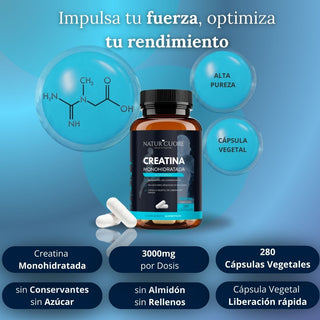 Creatina Monohidratada en Cápsulas Veganas | 280 cápsulas | 3000mg | Pastillas para Fuerza y Masa Muscular – Alta Pureza y Absorción - Monohidrato Micronizada 100% pura - Libre de Contaminantes
