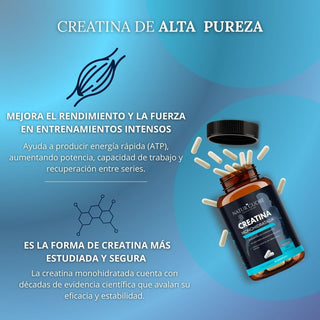 Creatina Monohidratada en Cápsulas Veganas | 280 cápsulas | 3000mg | Pastillas para Fuerza y Masa Muscular – Alta Pureza y Absorción - Monohidrato Micronizada 100% pura - Libre de Contaminantes