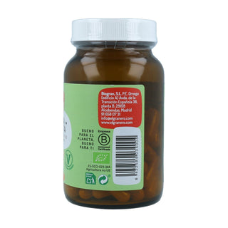 Cúrcuma y pimienta Bio 60 cápsulas (440mg)