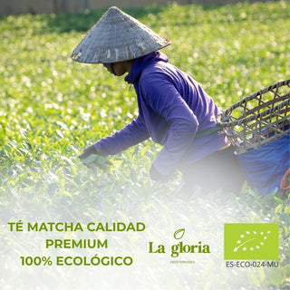 Té Matcha Ecológico 100% y Orgánico en Polvo – Grado Premium – Natural BIO – La Gloria Mediterránea