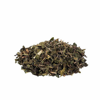 Ortiga verde