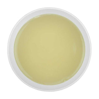 Te Blanco Puro 100% Silver Needles (Agujas de Plata)